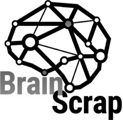 BRAIN SCRAP