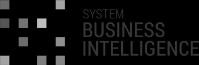 SBI SYSTEM BUSINESS INTELLIGENCE