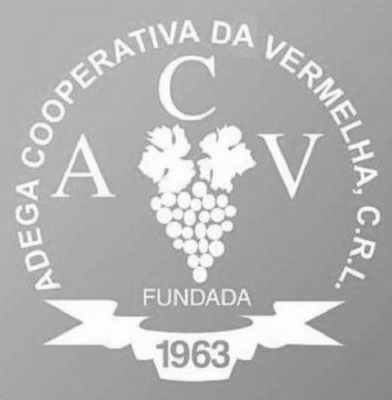 ADEGA COOPERATIVA DA VERMELHA, C.R.L. / ACV / FUNDADA 1963