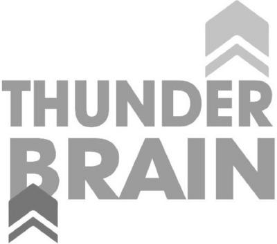 THUNDERBRAIN