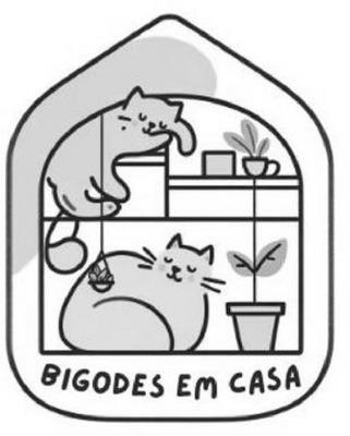 BIGODES EM CASA