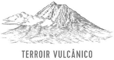 TERROIR VULCÂNICO