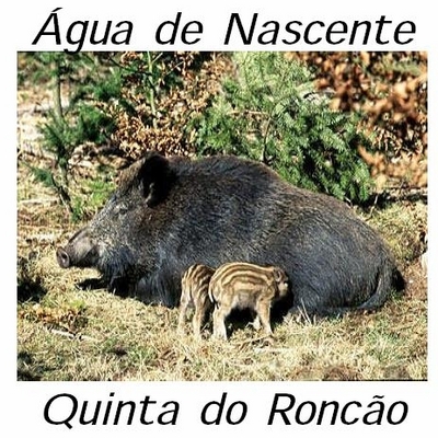 ÁGUA DE NASCENTE, QUINTA DO RONCÃO.