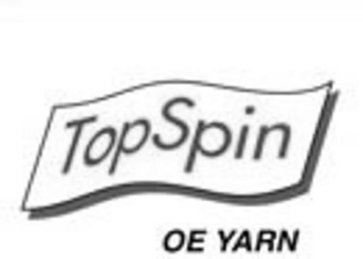 TOPSPIN OE YARN
