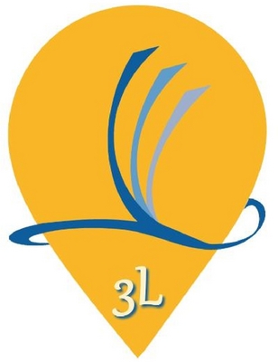 3L