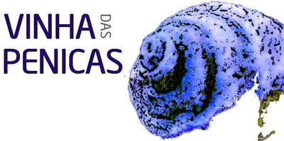 VINHA DAS PENICAS