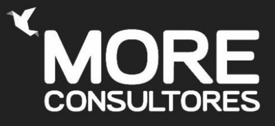 MORE CONSULTORES