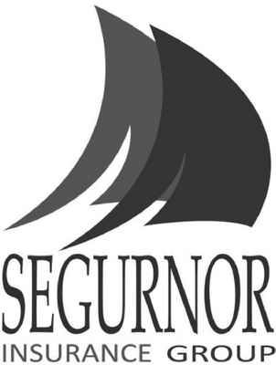 SEGURNOR - INSURANCE GROUP