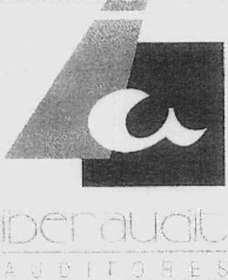 IA IBERAUDIT AUDITORES