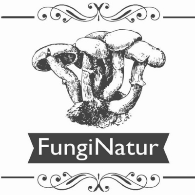 FUNGI NATUR