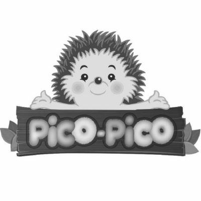 PICO-PICO