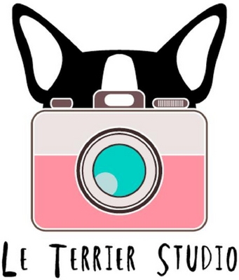 LE TERRIER STUDIO