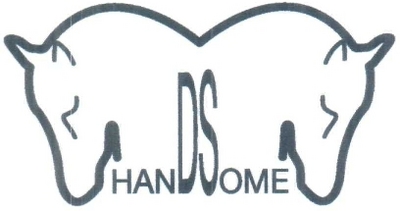 HANDSOME