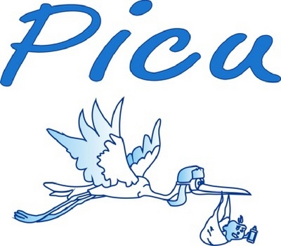 PICU