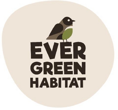 EVERGREEN HABITAT