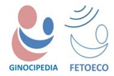 GINOCIPEDIA FETOECO
