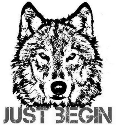 JUST BEGIN