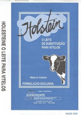 HOLSTEIN