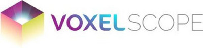 VOXELSCOPE