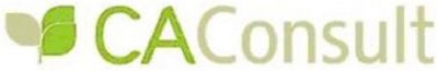 CA CONSULT