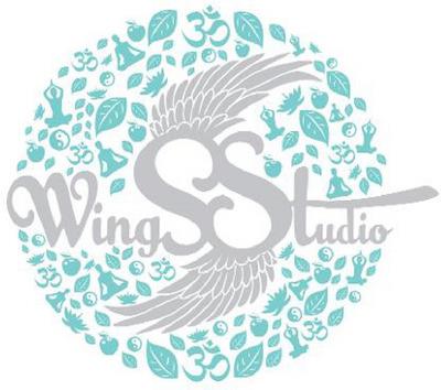 WINGSSTUDIO