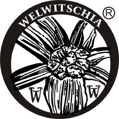WELWITSCHIA W W