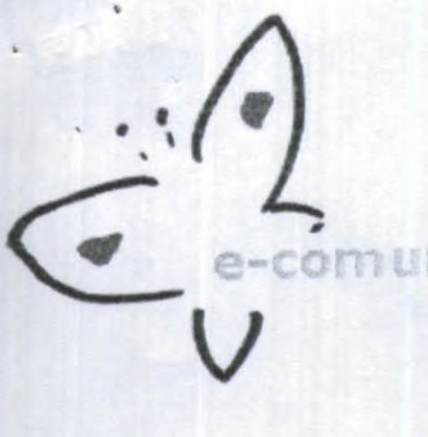 E-COMUNICAÇÃO