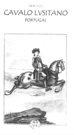 CAVALO LVSITANO PORTUGAL