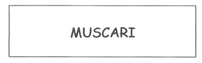 MUSCARI