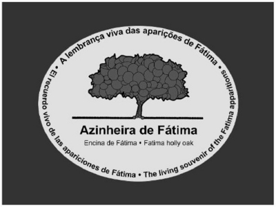 AZINHEIRA DE FÁTIMA - ENCINA DE FÁTIMA - FATIMA HOLLY OAK - A LEMBRANÇA VIVA DAS APARIÇÕES DE FÁTIMA - EL RECUERDO VIVO DE LAS APARICIONES DE FÁTIMA - THE LIVING SOUVENIR OF THE FATIMA APPARITIONS