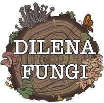 DILENA FUNGI