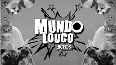 MUNDO LOUCO BICHOS