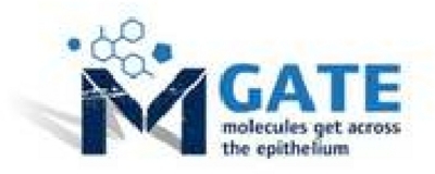 M GATE MOLECULES GET ACROSS THE EPITHELIUM
