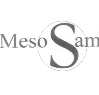 MESO SAM