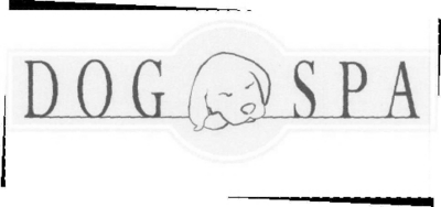DOG SPA