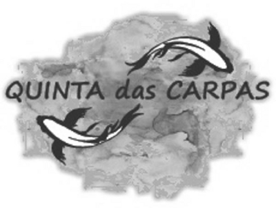 QUINTA DAS CARPAS