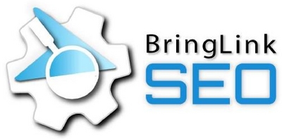 BRINGLINK SEO