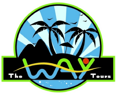THE WAY TOURS