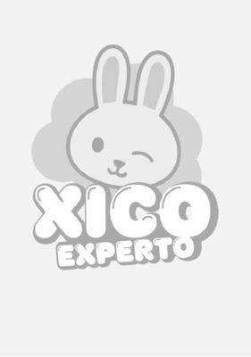 XICO EXPERTO