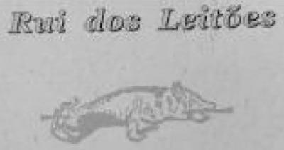 RUI DOS LEITÕES