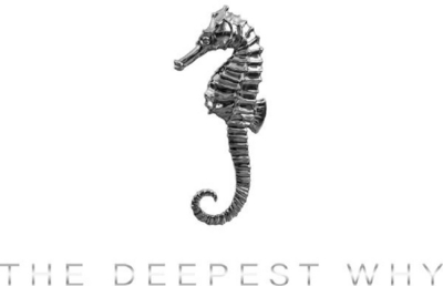 THE DEEPEST WHY