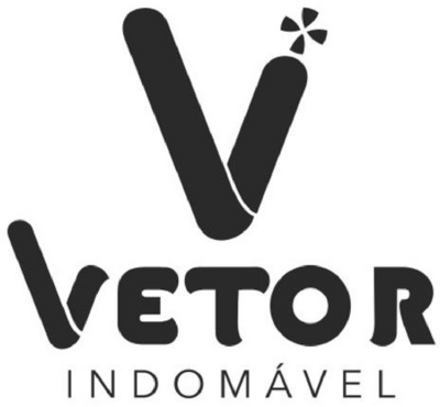 VETOR INDOMÁVEL