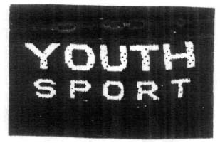 YOUTH SPORT
