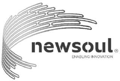 NEWSOUL ENABLING INNOVATION