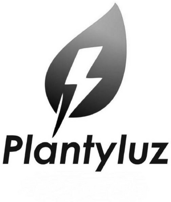PLANTYLUZ