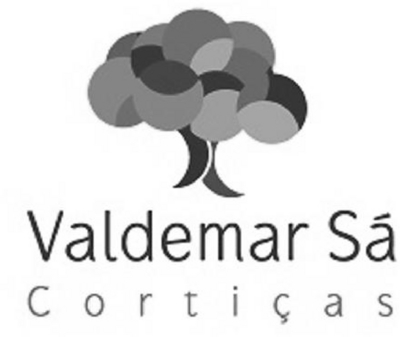 VALDEMAR SÁ CORTIÇAS