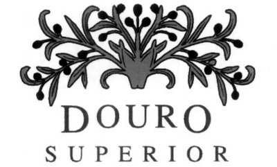 DOURO SUPERIOR