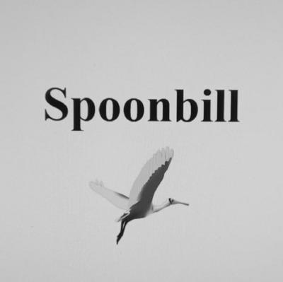 SPOONBILL