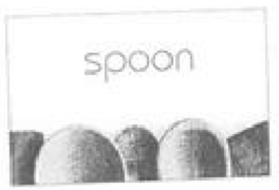 SPOON