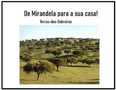 DE MIRANDELA PARA A SUA CASA! TERRAS-DOS-SOBREIROS